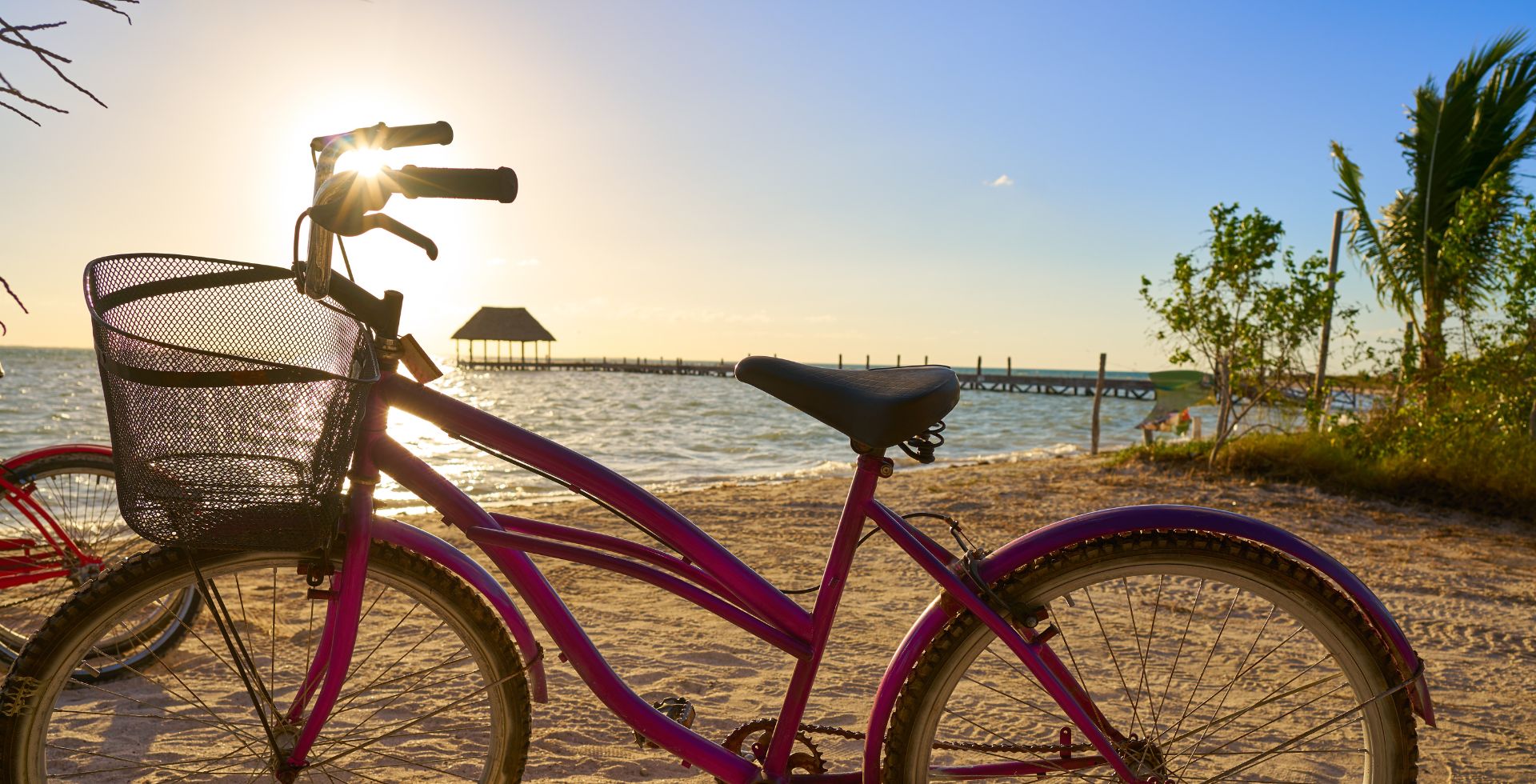 Renta de bicicletas